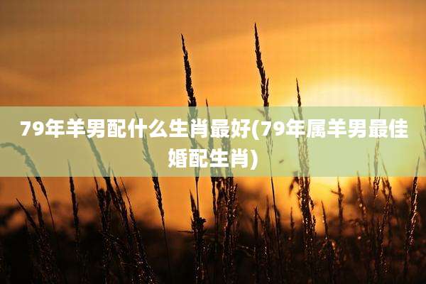 79年羊男配什么生肖最好(79年属羊男最佳婚配生肖)