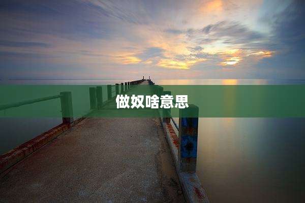 做奴啥意思