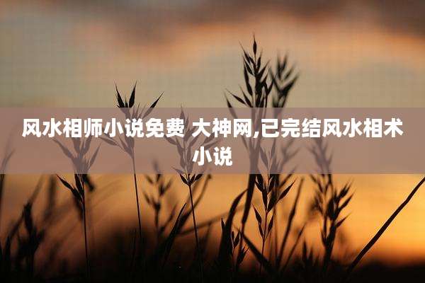 风水相师小说免费 大神网,已完结风水相术小说