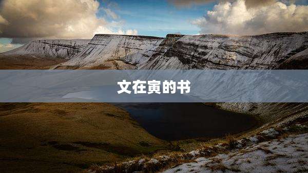 文在寅的书