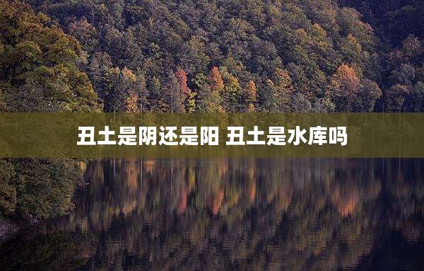 丑土是阴还是阳 丑土是水库吗