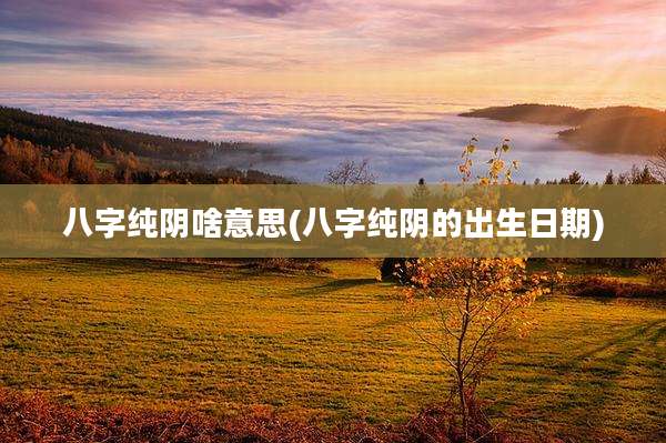 八字纯阴啥意思(八字纯阴的出生日期)