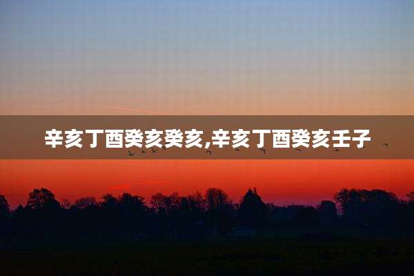 辛亥丁酉癸亥癸亥,辛亥丁酉癸亥壬子