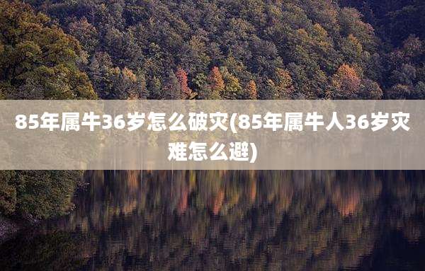 85年属牛36岁怎么破灾(85年属牛人36岁灾难怎么避)