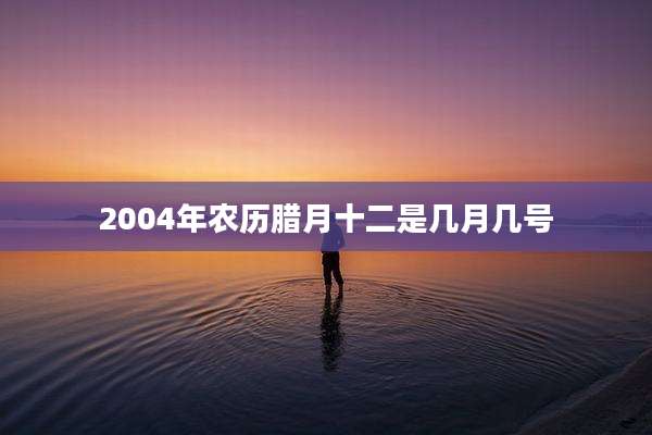 2004年农历腊月十二是几月几号