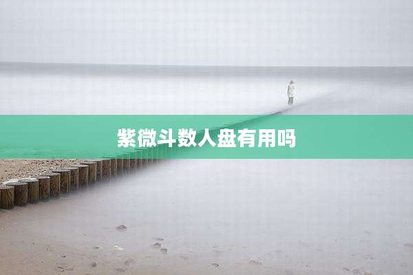 紫微斗数人盘有用吗