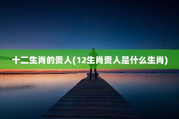 十二生肖的贵人(12生肖贵人是什么生肖)