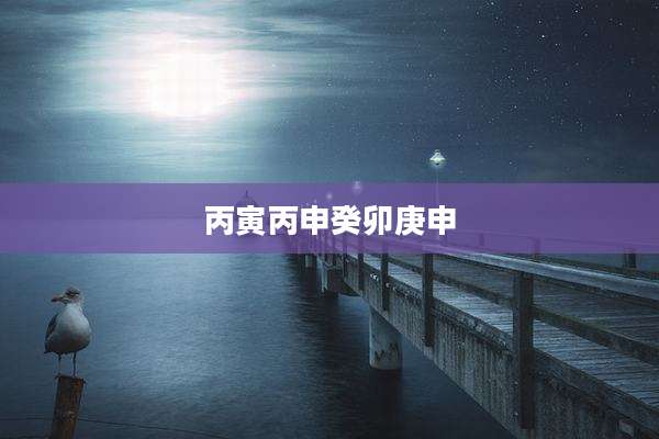 丙寅丙申癸卯庚申