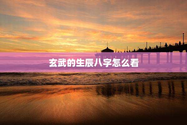 玄武的生辰八字怎么看