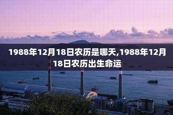 1988年12月18日农历是哪天,1988年12月18日农历出生命运