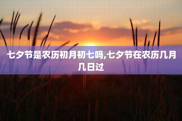 七夕节是农历初月初七吗,七夕节在农历几月几日过