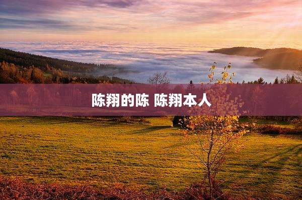 陈翔的陈 陈翔本人