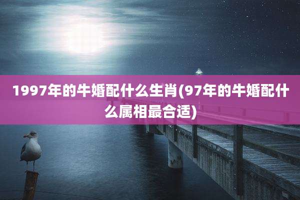 1997年的牛婚配什么生肖(97年的牛婚配什么属相最合适)