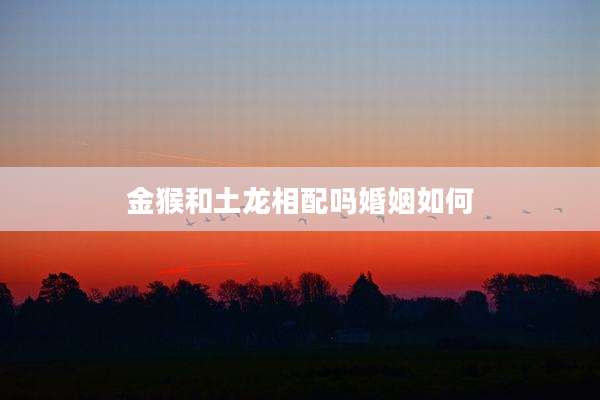 金猴和土龙相配吗婚姻如何