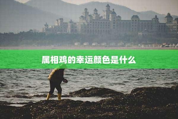 属相鸡的幸运颜色是什么