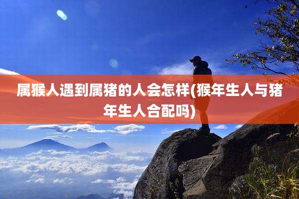 属猴人遇到属猪的人会怎样(猴年生人与猪年生人合配吗)