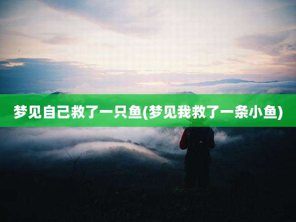 梦见自己救了一只鱼(梦见我救了一条小鱼)