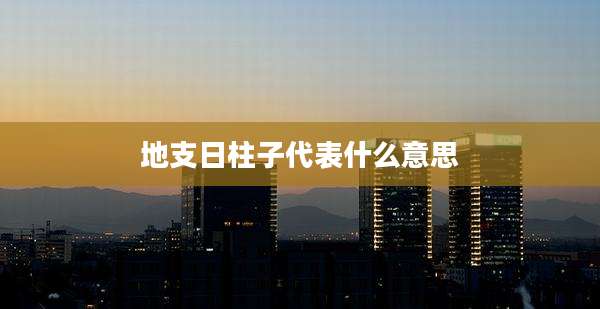 地支日柱子代表什么意思