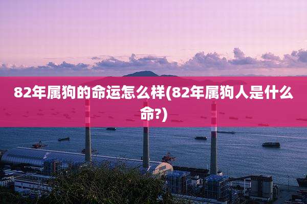 82年属狗的命运怎么样(82年属狗人是什么命?)