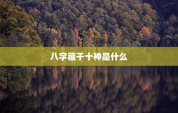 八字藏干十神是什么