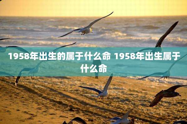 1958年出生的属于什么命 1958年出生属于什么命