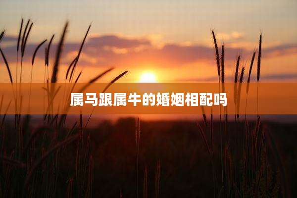 属马跟属牛的婚姻相配吗