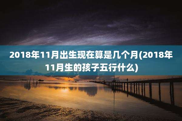 2018年11月出生现在算是几个月(2018年11月生的孩子五行什么)