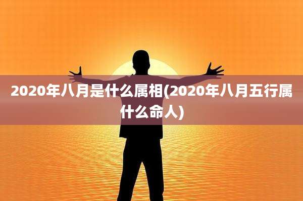 2020年八月是什么属相(2020年八月五行属什么命人)