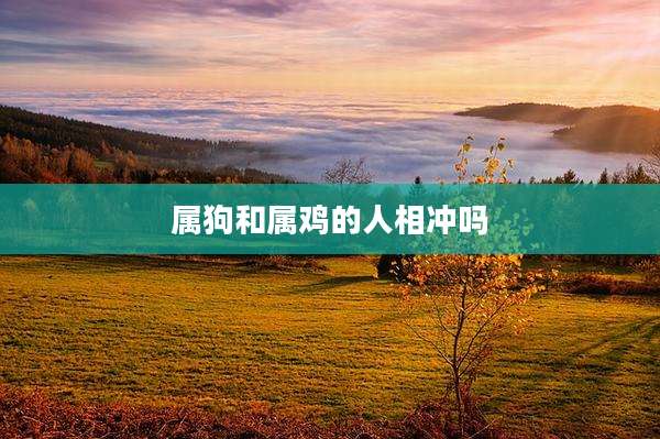 属狗和属鸡的人相冲吗