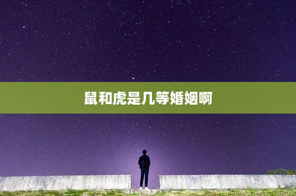 鼠和虎是几等婚姻啊