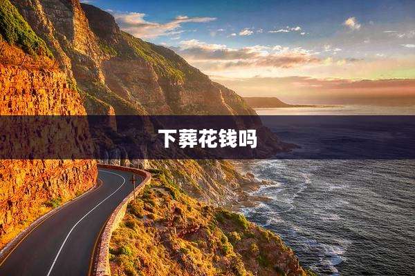 下葬花钱吗