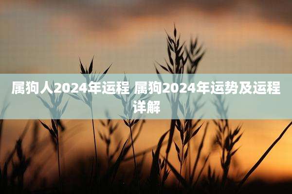 属狗人2024年运程 属狗2024年运势及运程详解