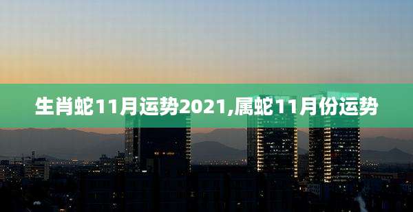 生肖蛇11月运势2021,属蛇11月份运势