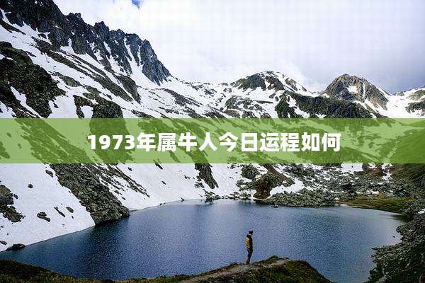 1973年属牛人今日运程如何