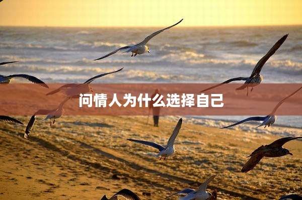 问情人为什么选择自己