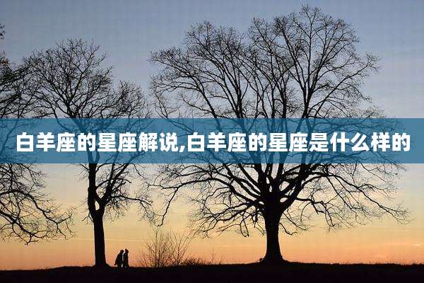 白羊座的星座解说,白羊座的星座是什么样的