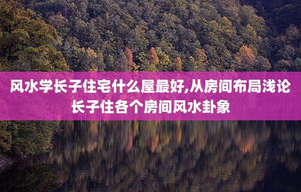 风水学长子住宅什么屋最好,从房间布局浅论长子住各个房间风水卦象