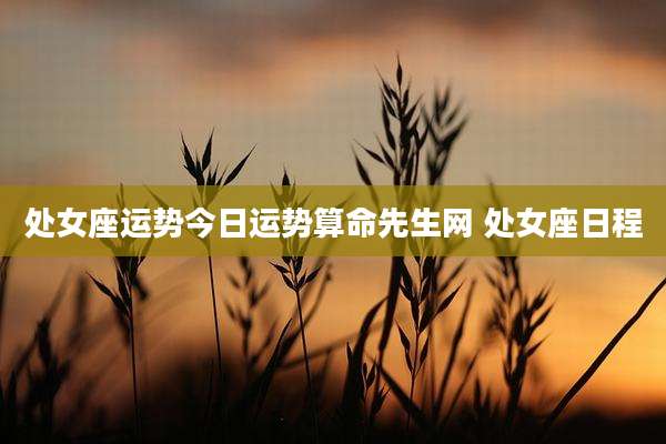 处女座运势今日运势算命先生网 处女座日程