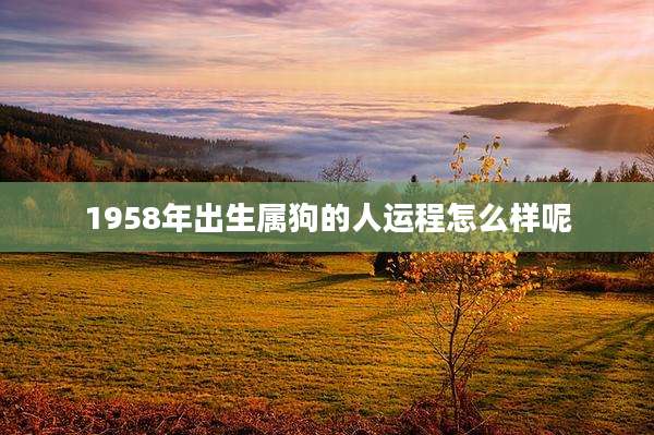 1958年出生属狗的人运程怎么样呢