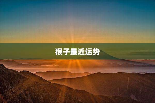 猴子最近运势