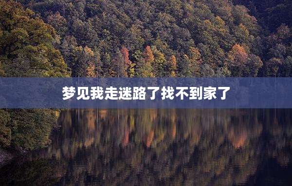 梦见我走迷路了找不到家了