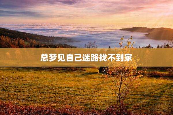 总梦见自己迷路找不到家