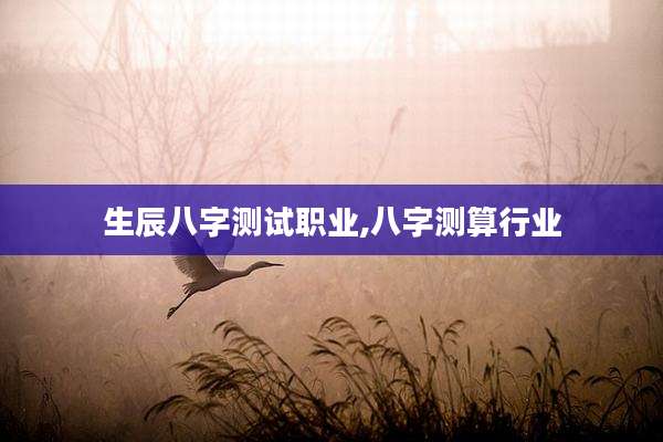 生辰八字测试职业,八字测算行业
