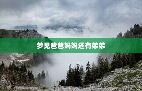 梦见爸爸妈妈还有弟弟