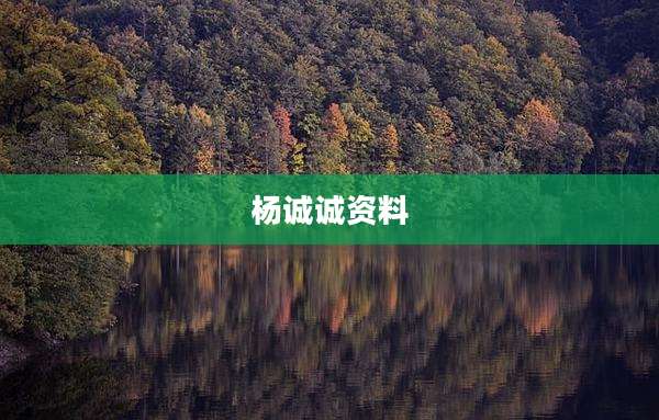 杨诚诚资料