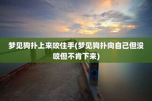 梦见狗扑上来咬住手(梦见狗扑向自己但没咬但不肯下来)