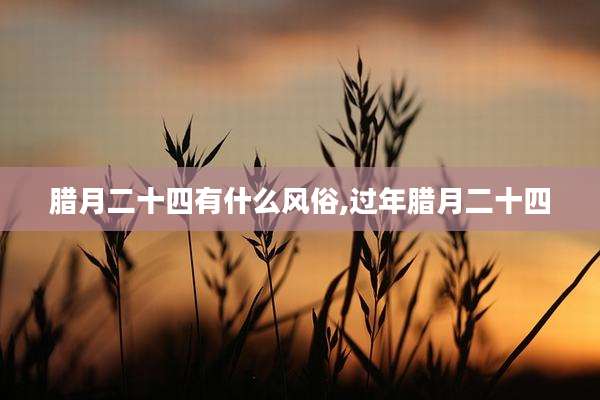腊月二十四有什么风俗,过年腊月二十四