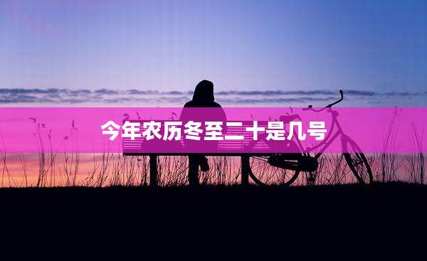 今年农历冬至二十是几号