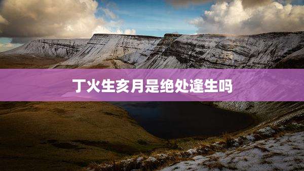 丁火生亥月是绝处逢生吗