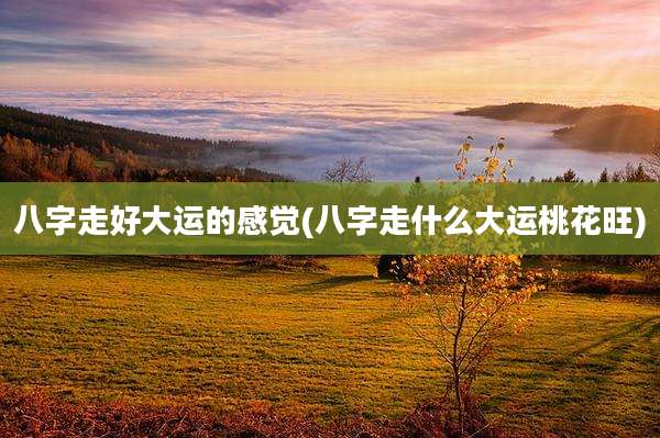 八字走好大运的感觉(八字走什么大运桃花旺)